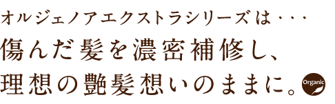 オルジェノアエクストラシリーズは、傷んだ髪を濃密補修し、理想の艶髪想いのままに。